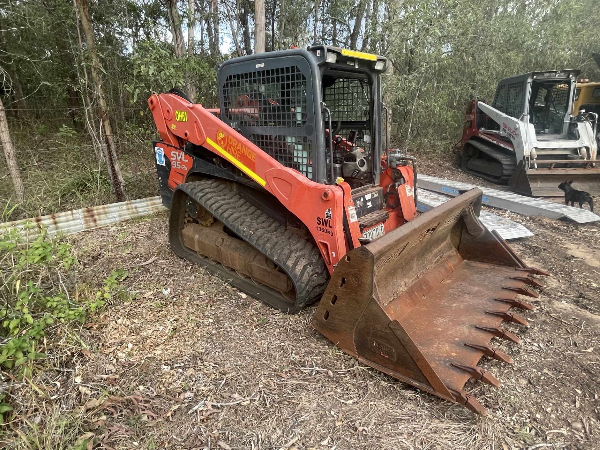 Skid steer Slasher services Brisbane Dynamic Tree Solutions
