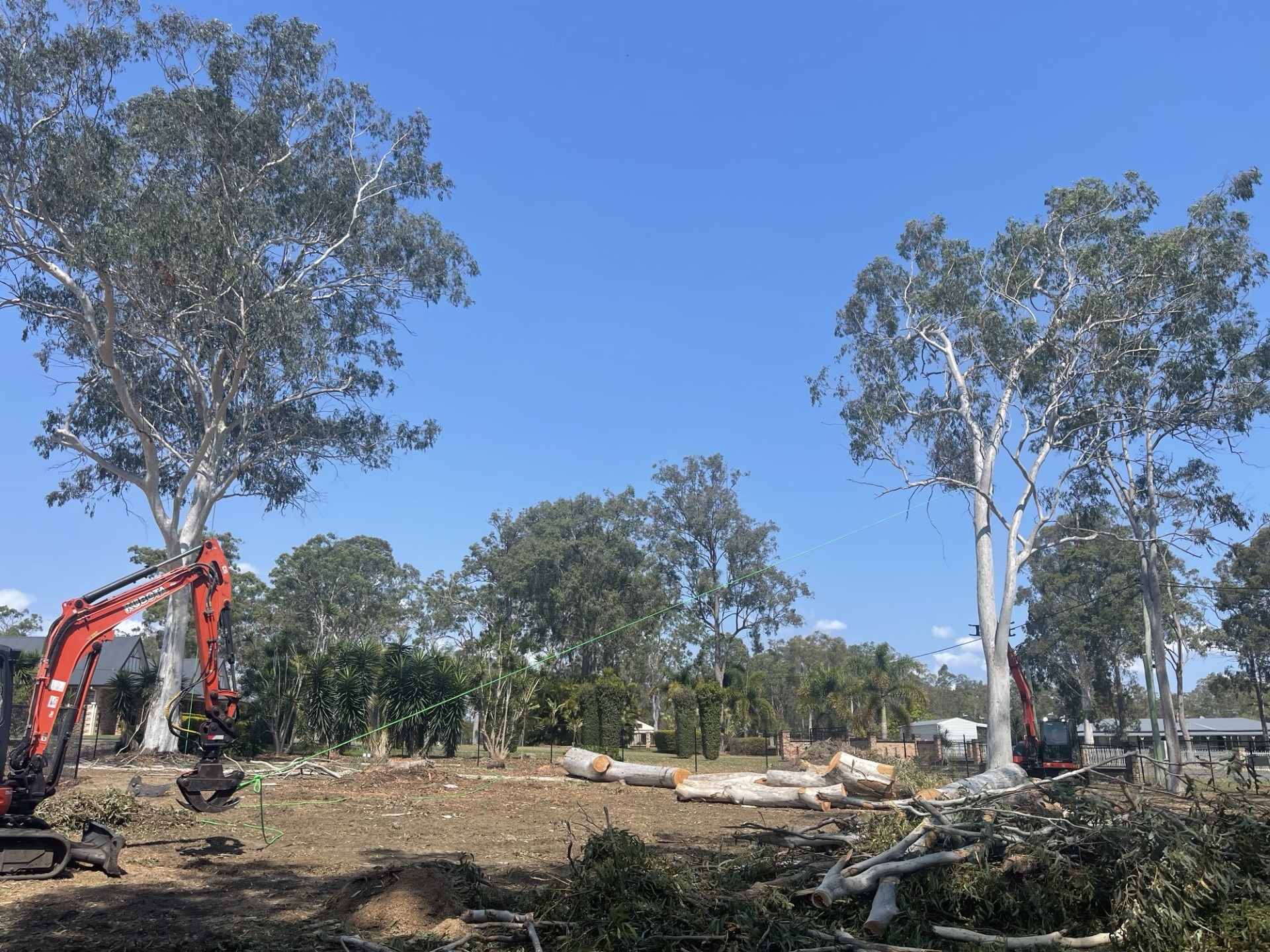 Brisbane Heavy Clearing Arborist Tier 1 Compliant