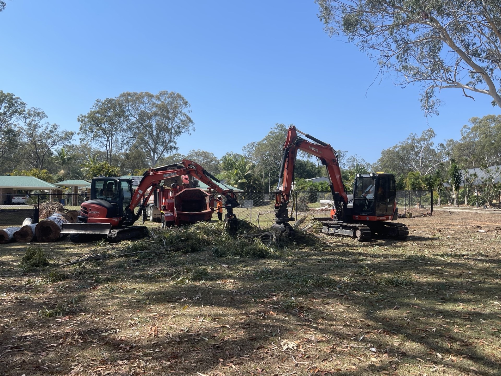 Brisbane Heavy Clearing Arborist Tier 1 Compliant