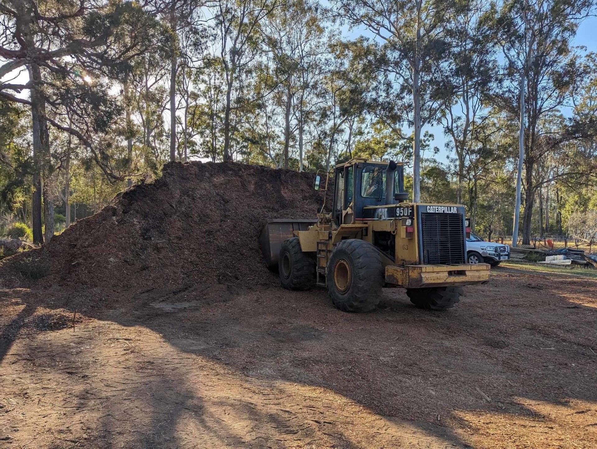 Mulching Mastery of Seasoned Forest Mulch for Lush Gardens Dynamic