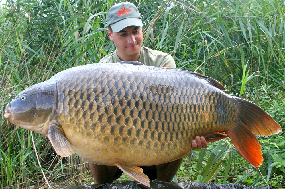 How to Find Carp in a Lake Fishing Form