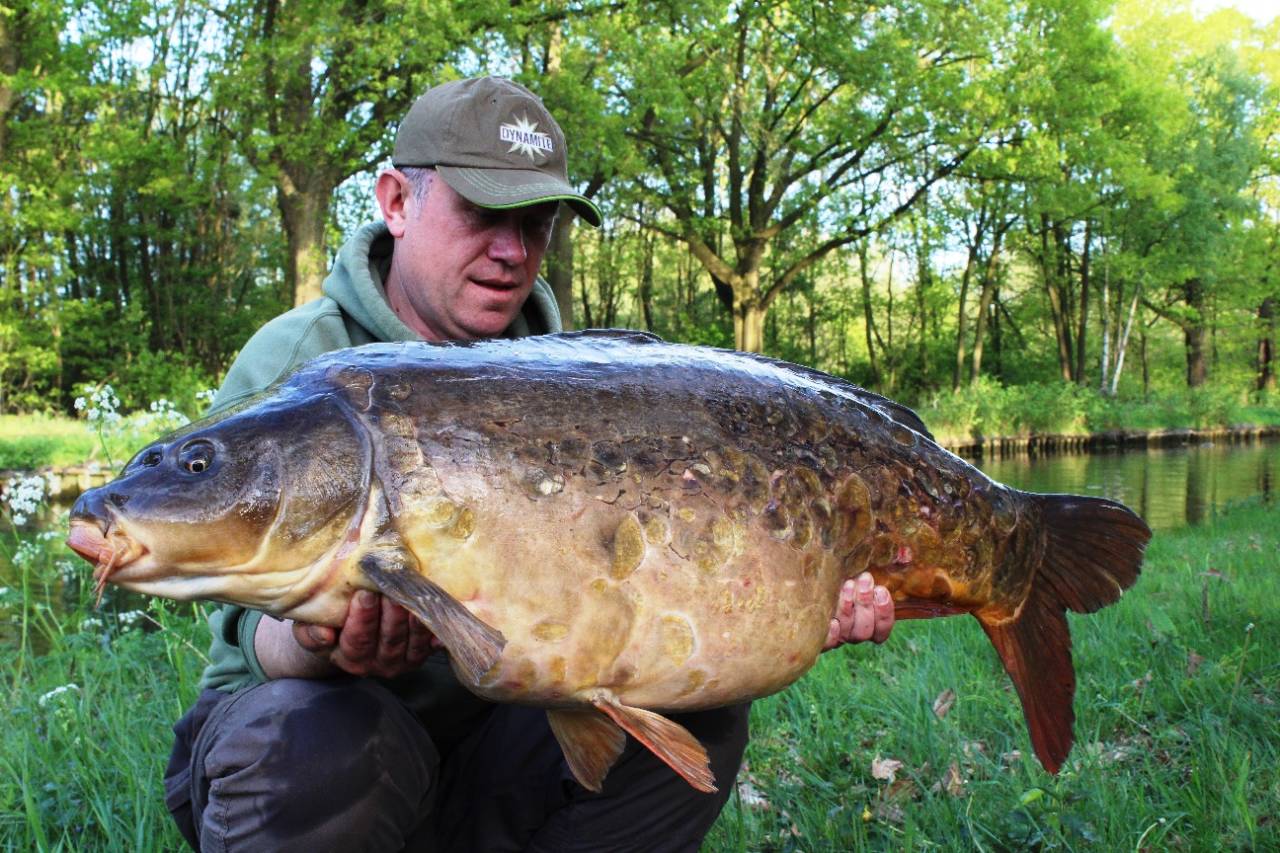 A guide to carp fishing on Europe’s canals Dynamite Baits