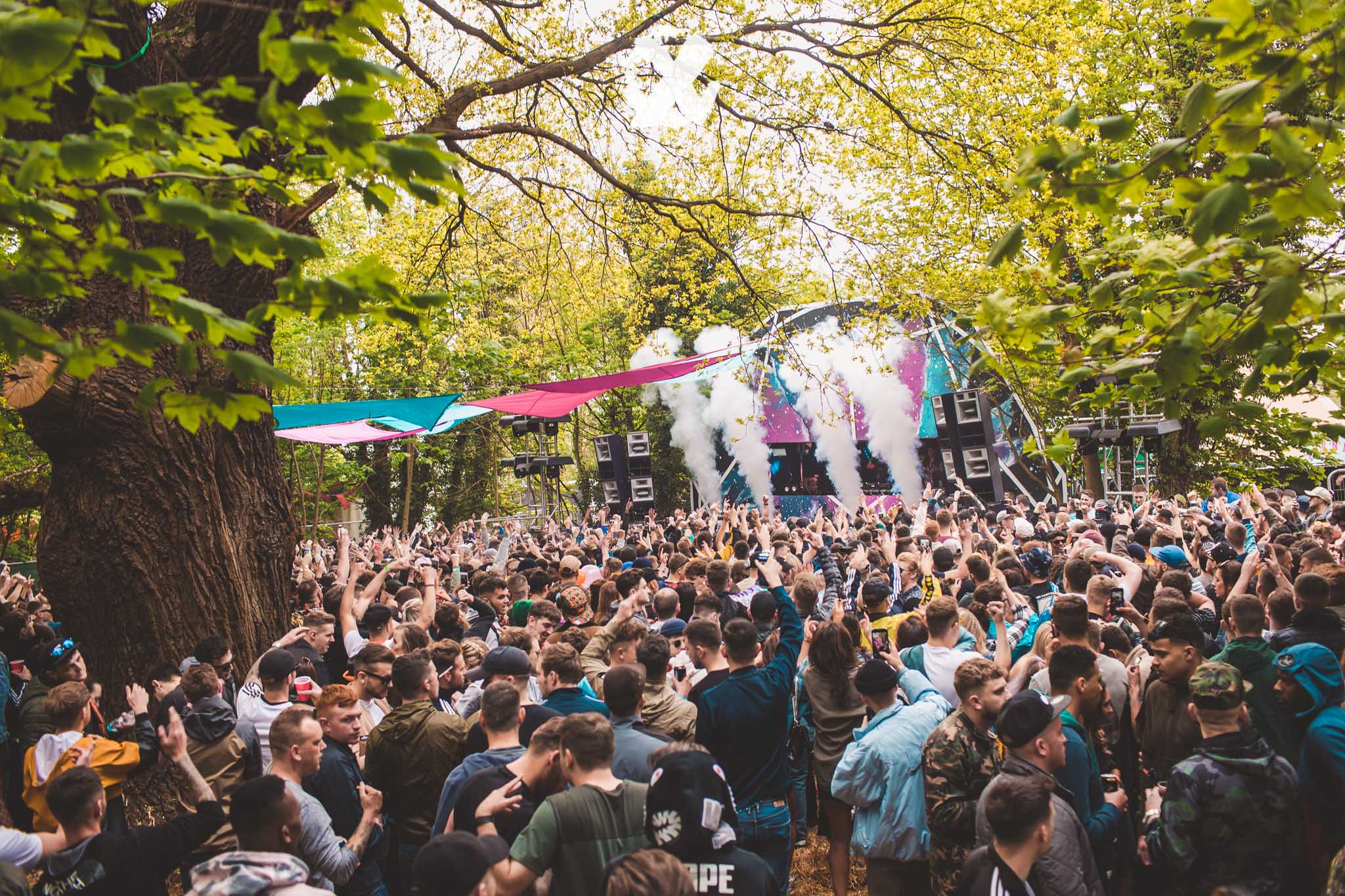 Forbidden Forest 2023 Lineup Jun 2 4, 2023