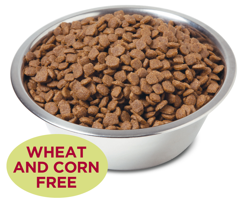 What Is Super Premium Dog Food