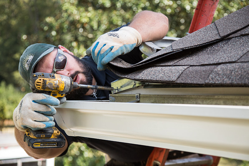 Wildlife Control Atlanta Breda Pest Management Breda Pest Management