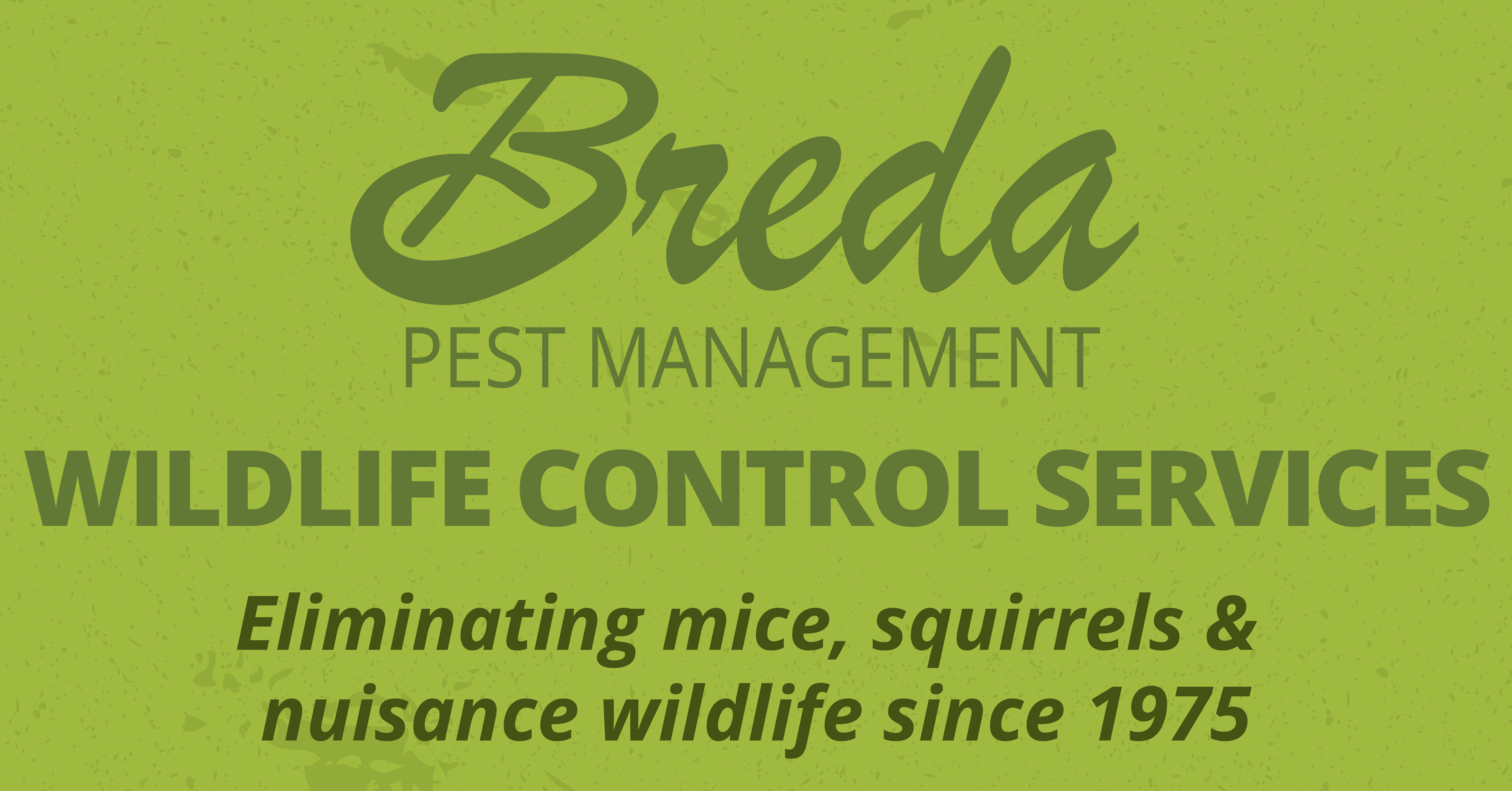 Wildlife Control Atlanta Breda Pest Management Breda Pest Management