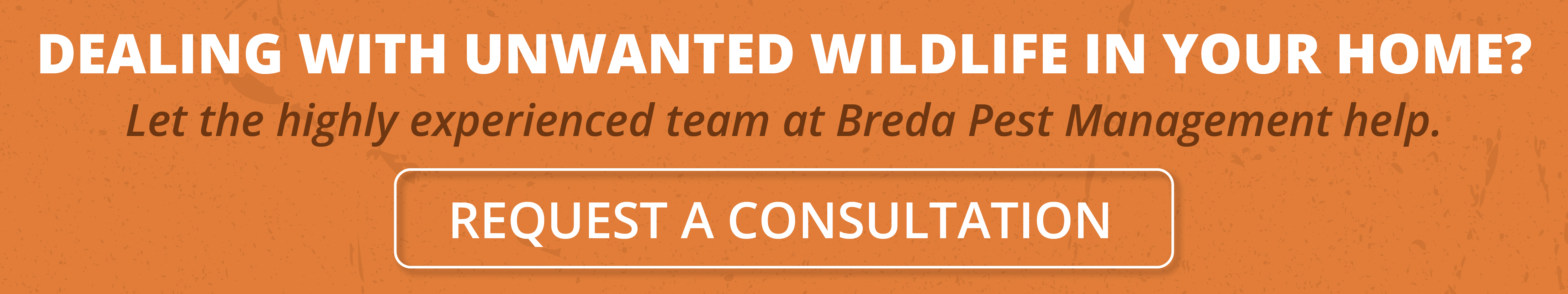Wildlife Control Atlanta Breda Pest Management Breda Pest Management
