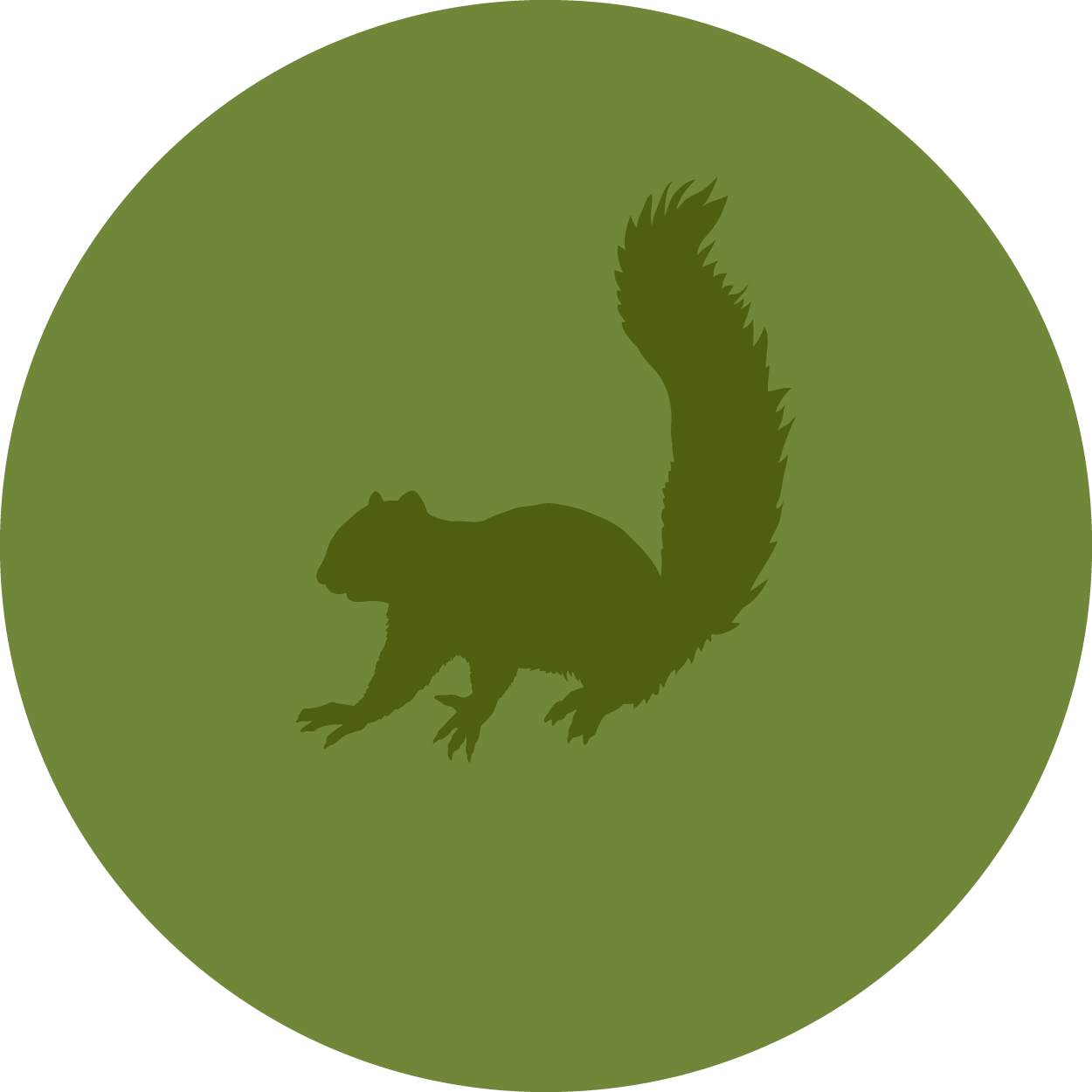 Wildlife Control Atlanta Breda Pest Management Breda Pest Management