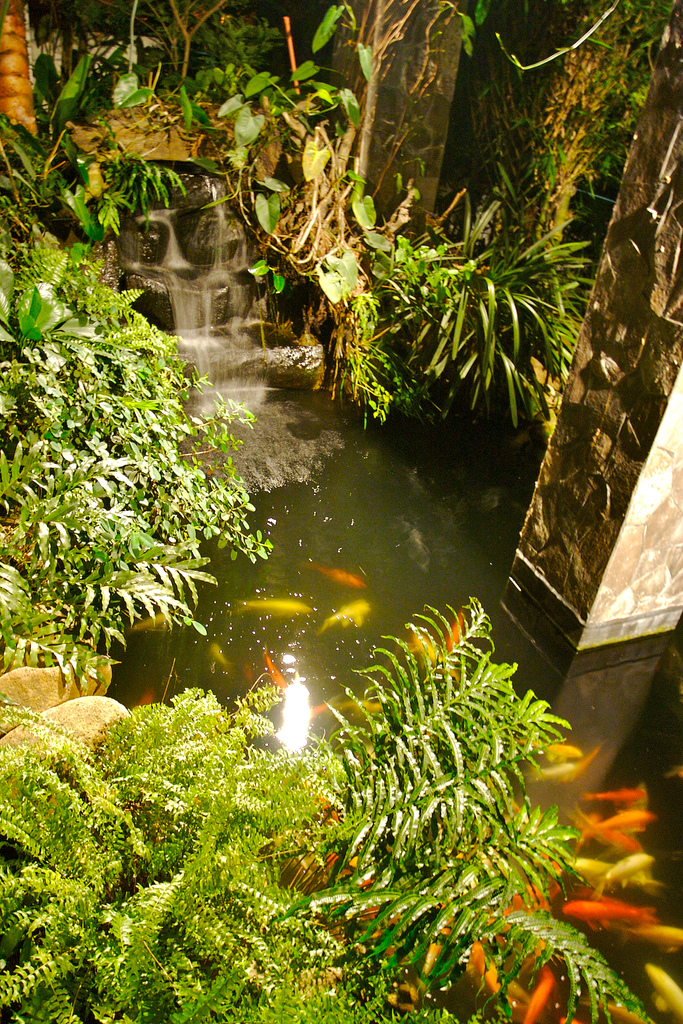 Zerorez Green Carpet Cleaning Zerorez Carpet Cleaning