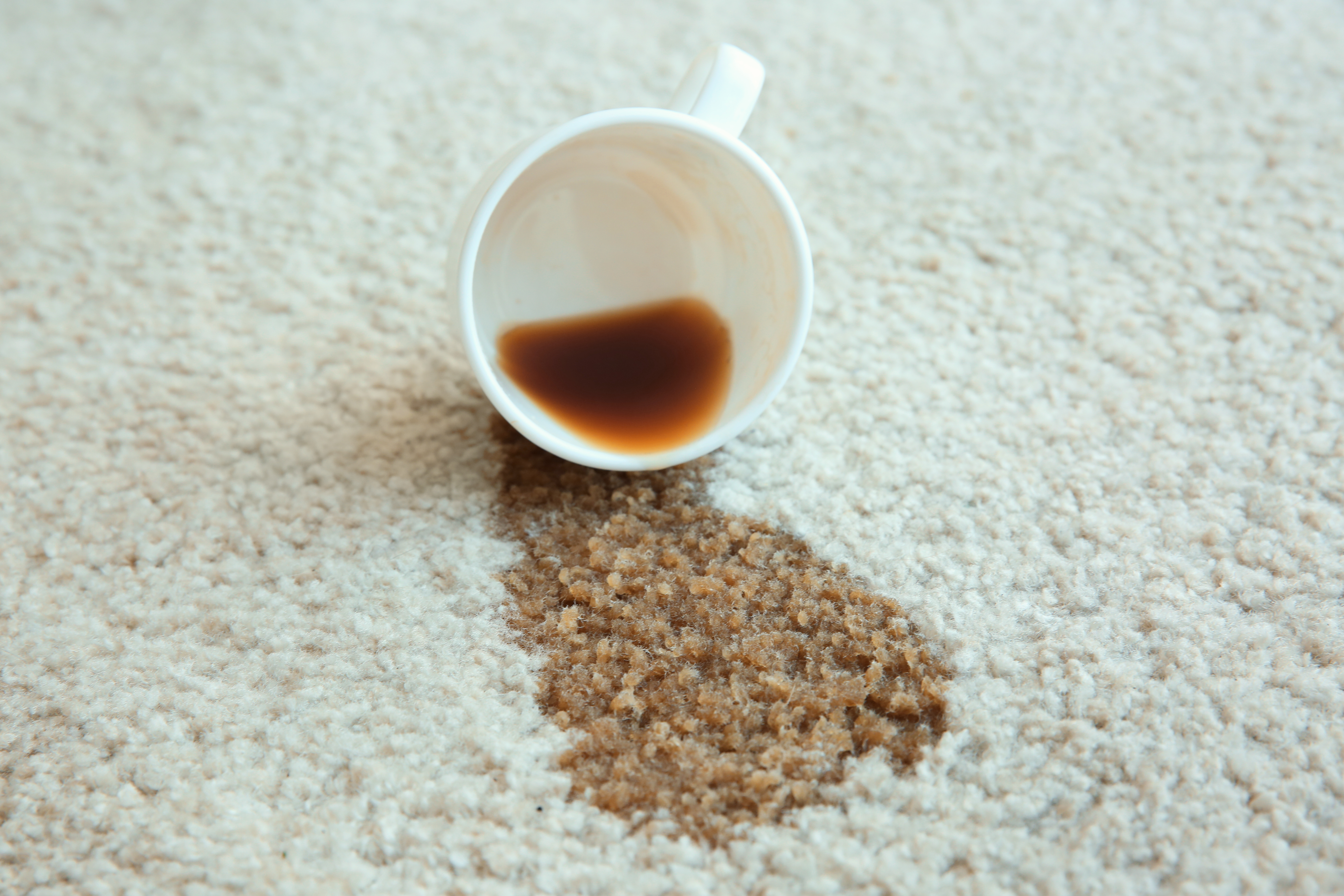Common Carpet Stains and How to Get Rid of Them Zerorez Carpet Cleaning