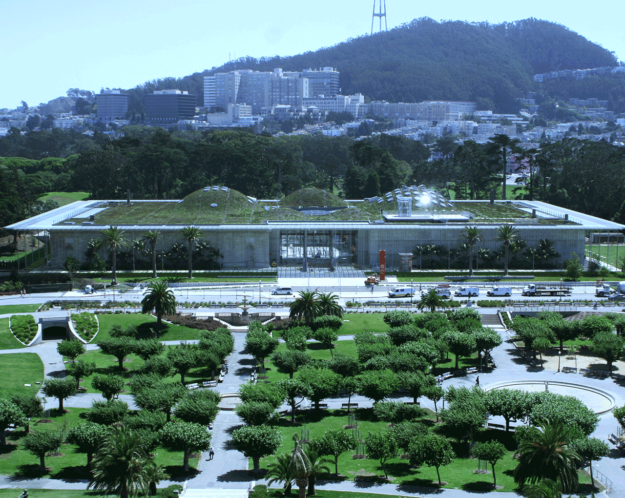 What Could You Do in the Bay Area with 97.10 Zerorez Carpet Cleaning