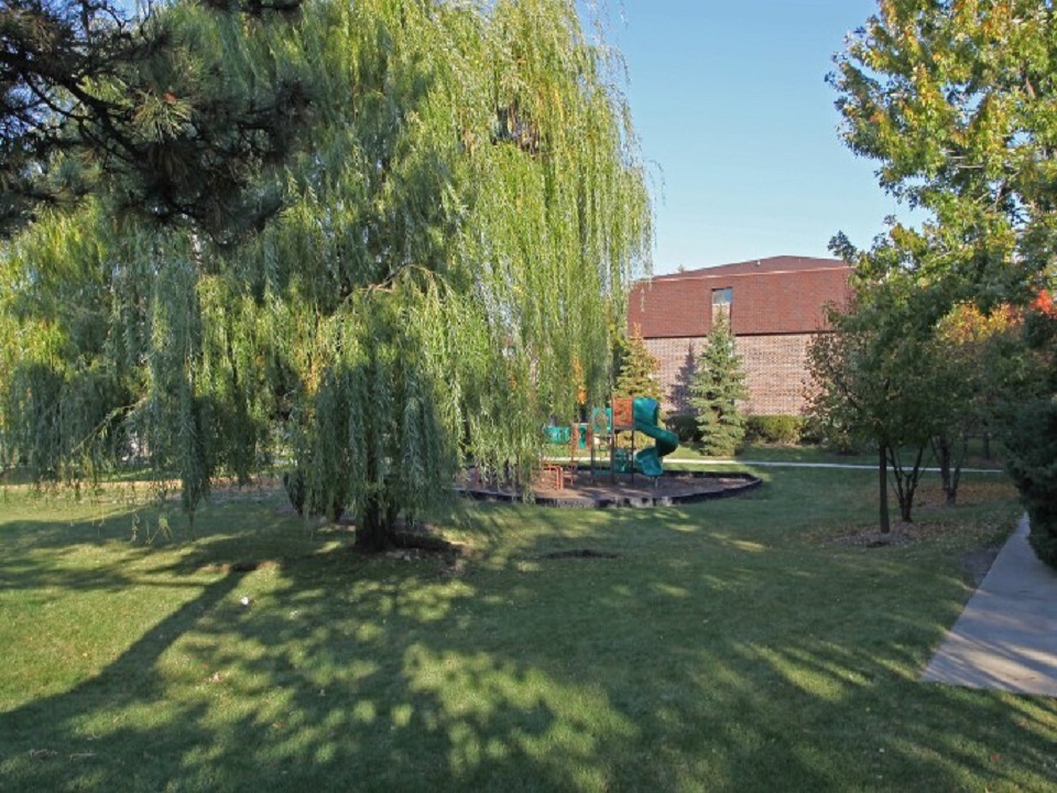 Dynasty Pointe Apartments Apartments in Woodridge, IL