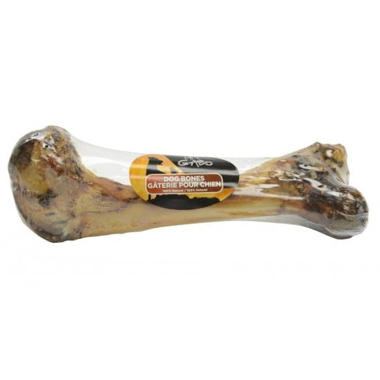 Are Femur Bones Safe For Dogs
