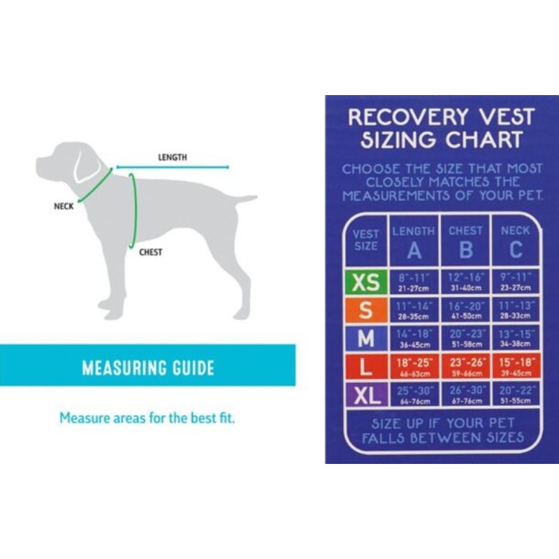 Premium Recovery Vest for Dogs Calm Paws DYNO.CA