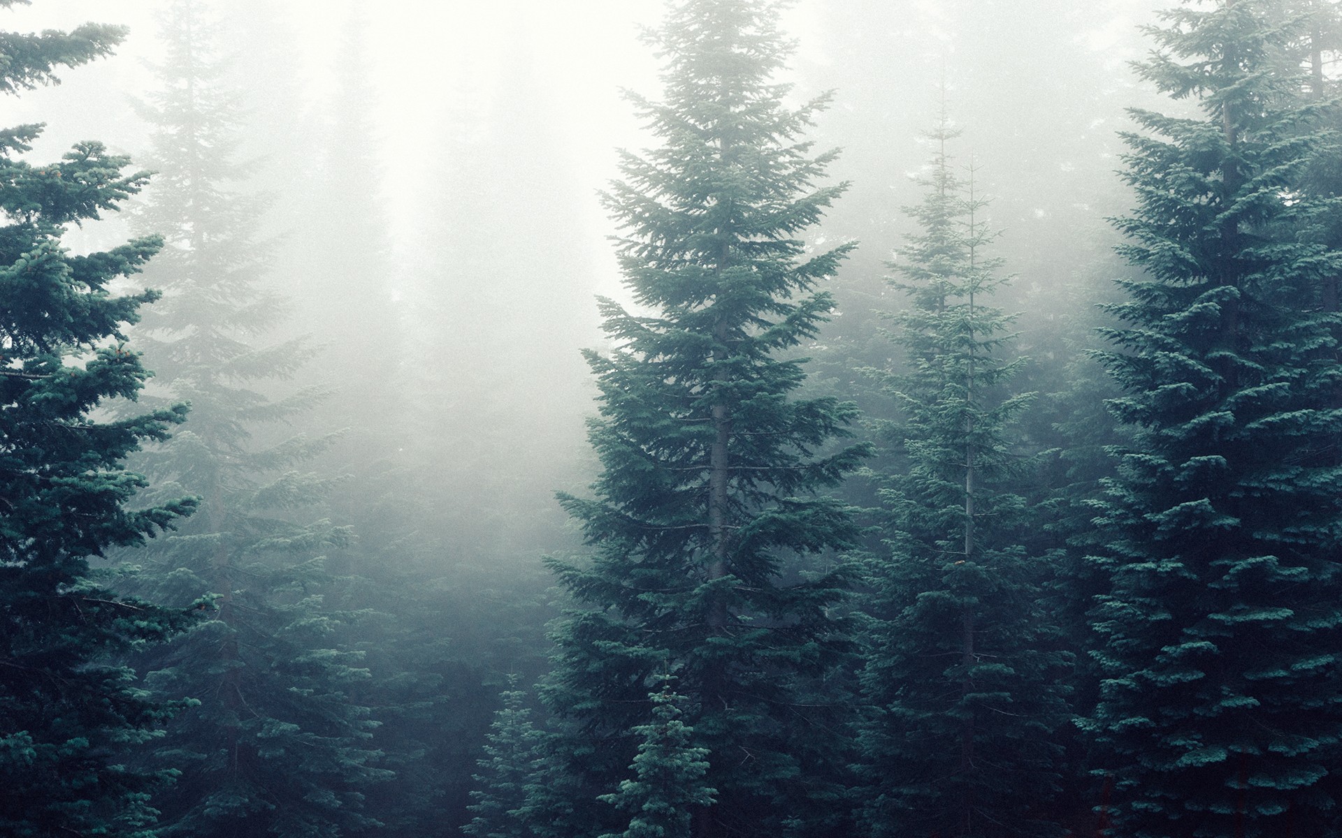 Random Forest as a Regressor A Sparkbased Solution DZone Big Data
