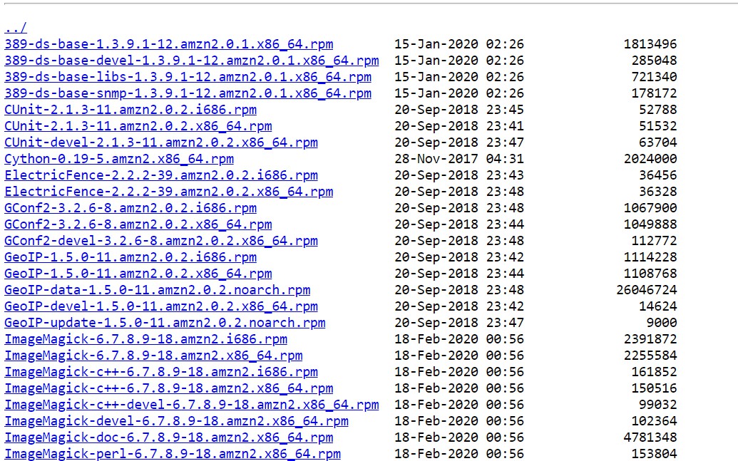 NGINX Yum Proxy Repository Setup for Amazon Linux EC2 DZone DevOps
