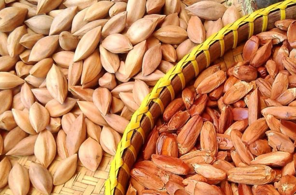 Pilipinas, mageexport na muli ng Pili nuts sa Europa