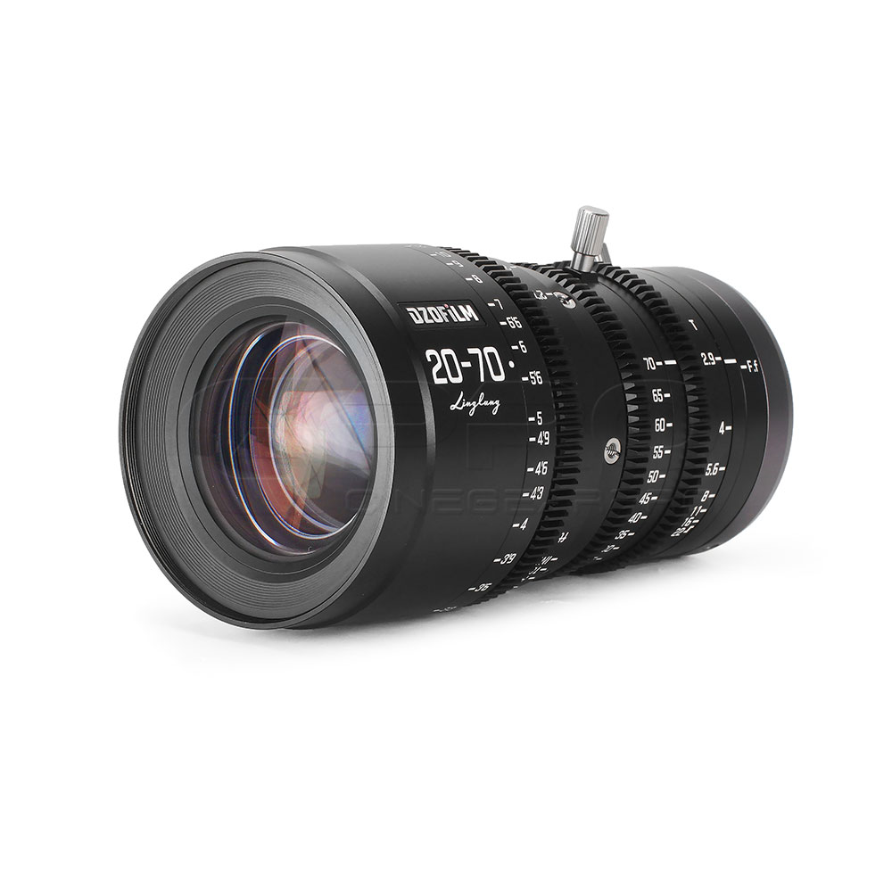 CGP08066c