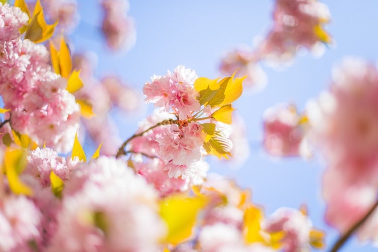 Spring for Apache Kafka — Part 1 Error Handling, Message Conversion