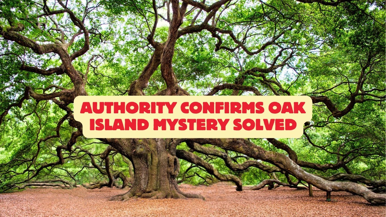 Authority Confirms Oak Island Mystery Solved CenturiesOld Enigma