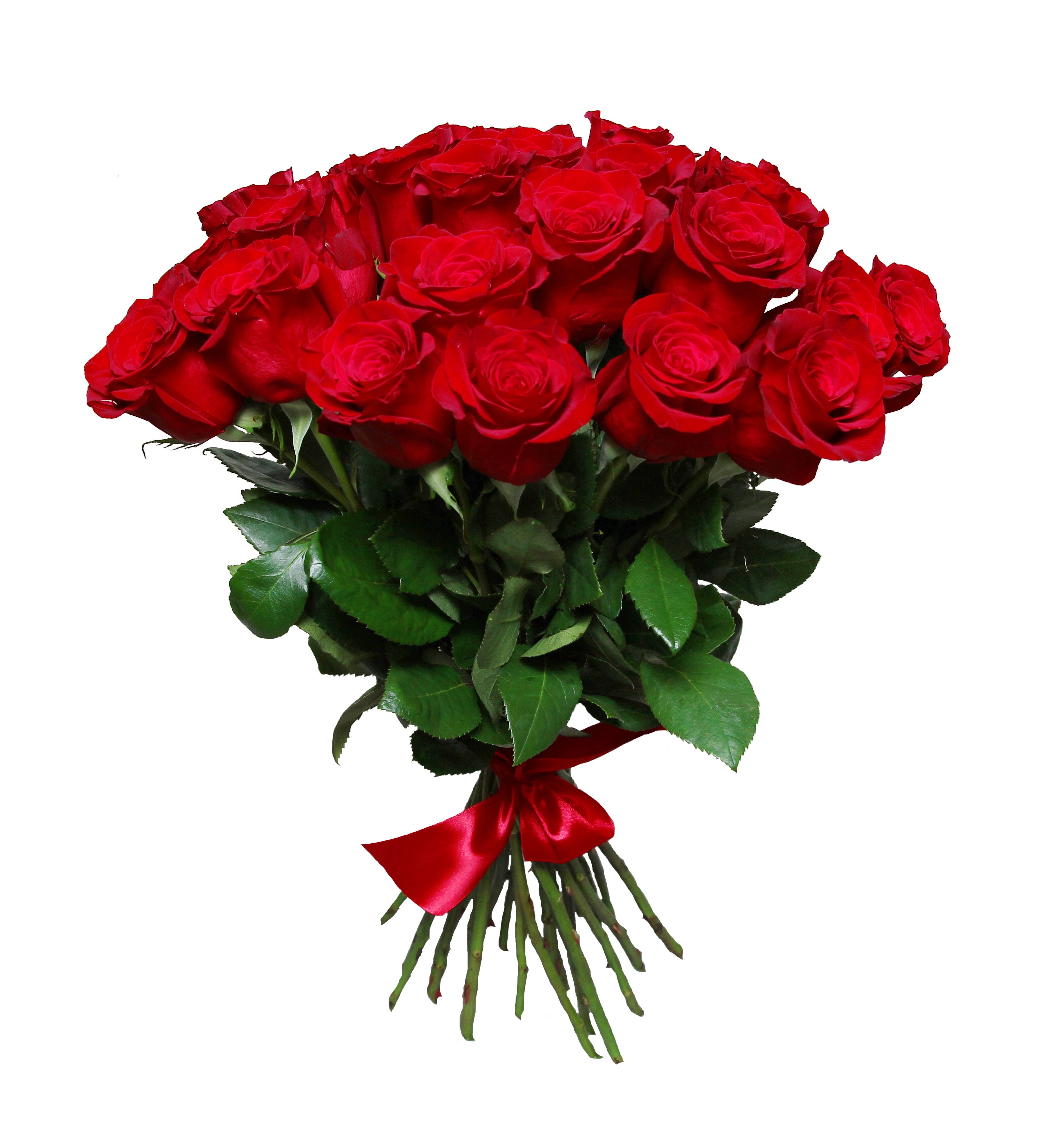 Bukiet z 18 czerwonych róż