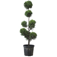 Plante Artificielle Exterieur Leclerc