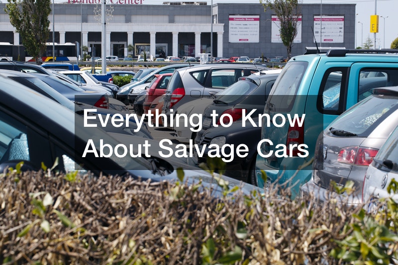 Everything to Know About Salvage Cars ELibrary