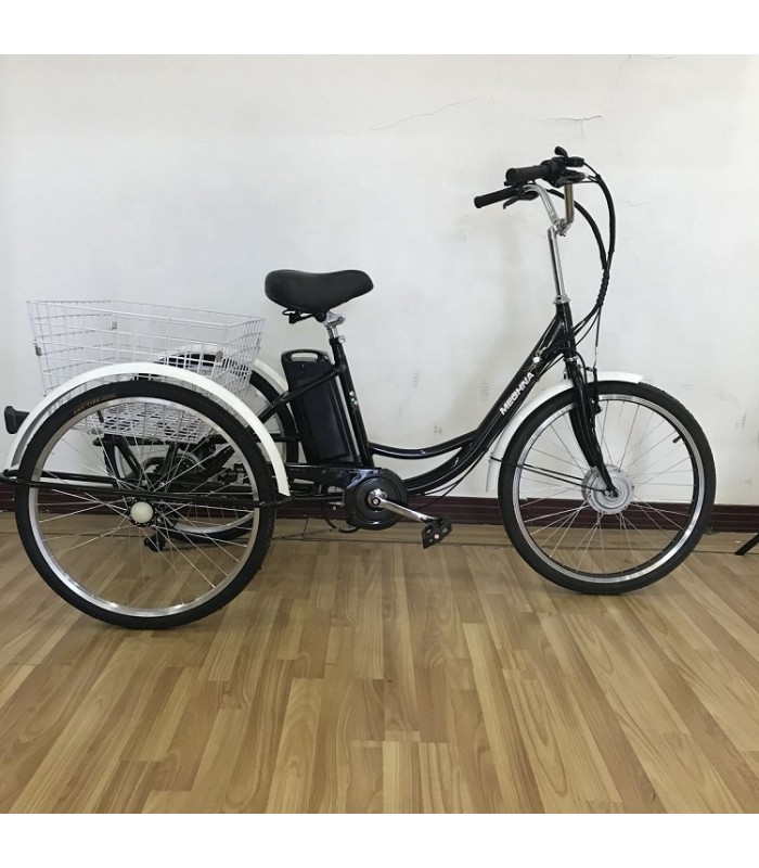ELastenrad EDONKEY PLUS, EBike Lastenfahrrad erock.de