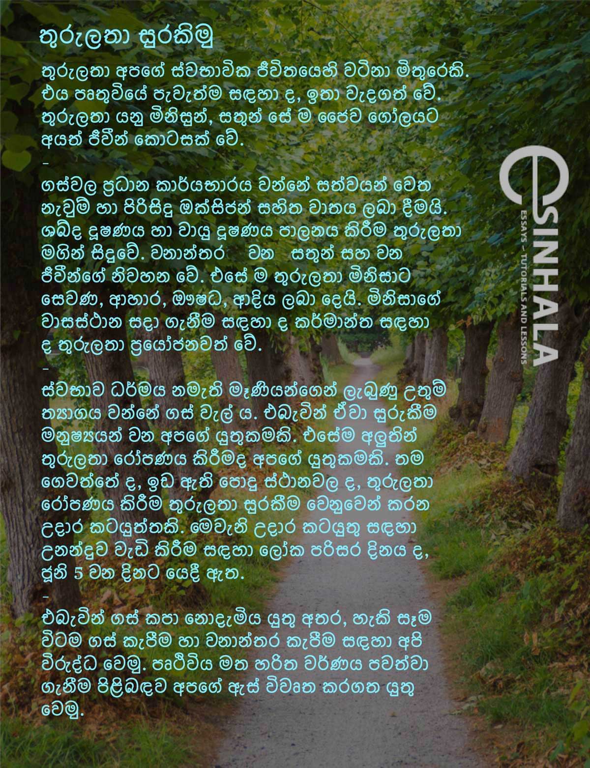Let's protect the trees Grade 6 Sinhala Essays