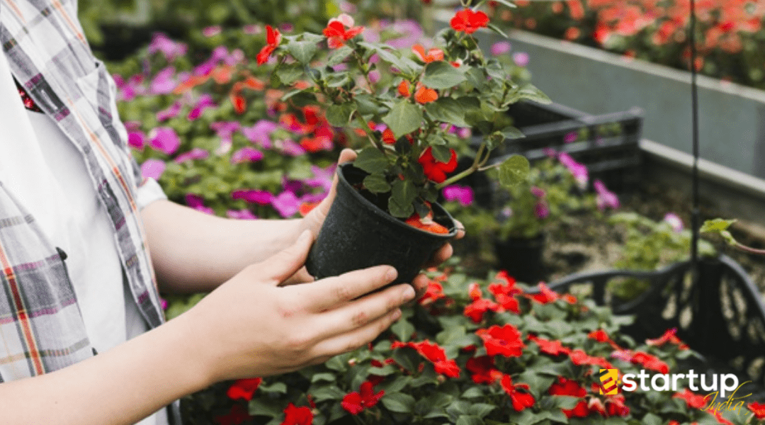 An Overview of Floriculture Objectives and Functions