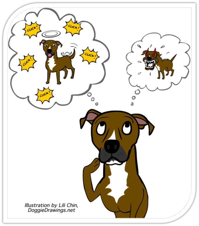 Behavior Adjustment Training for DogsGrisha Stewart