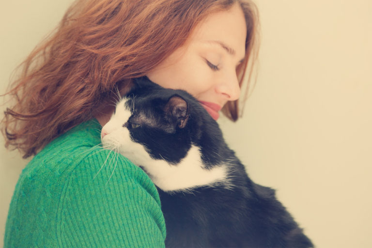 Cat behavior and the humancat bond The Social Lives of Cats