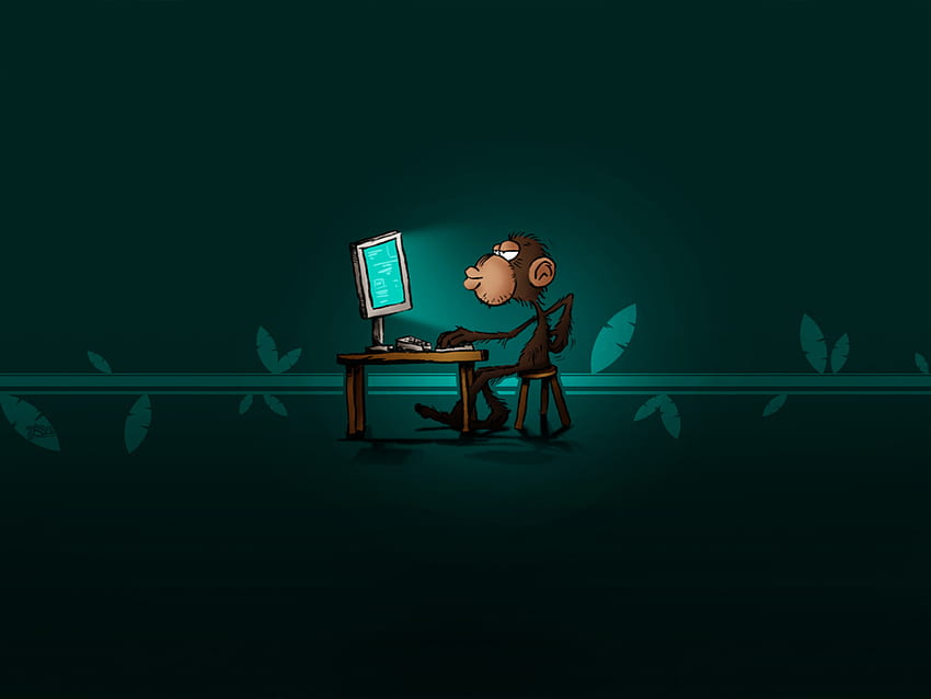 Computer Coding , Funny Coding HD wallpaper Pxfuel