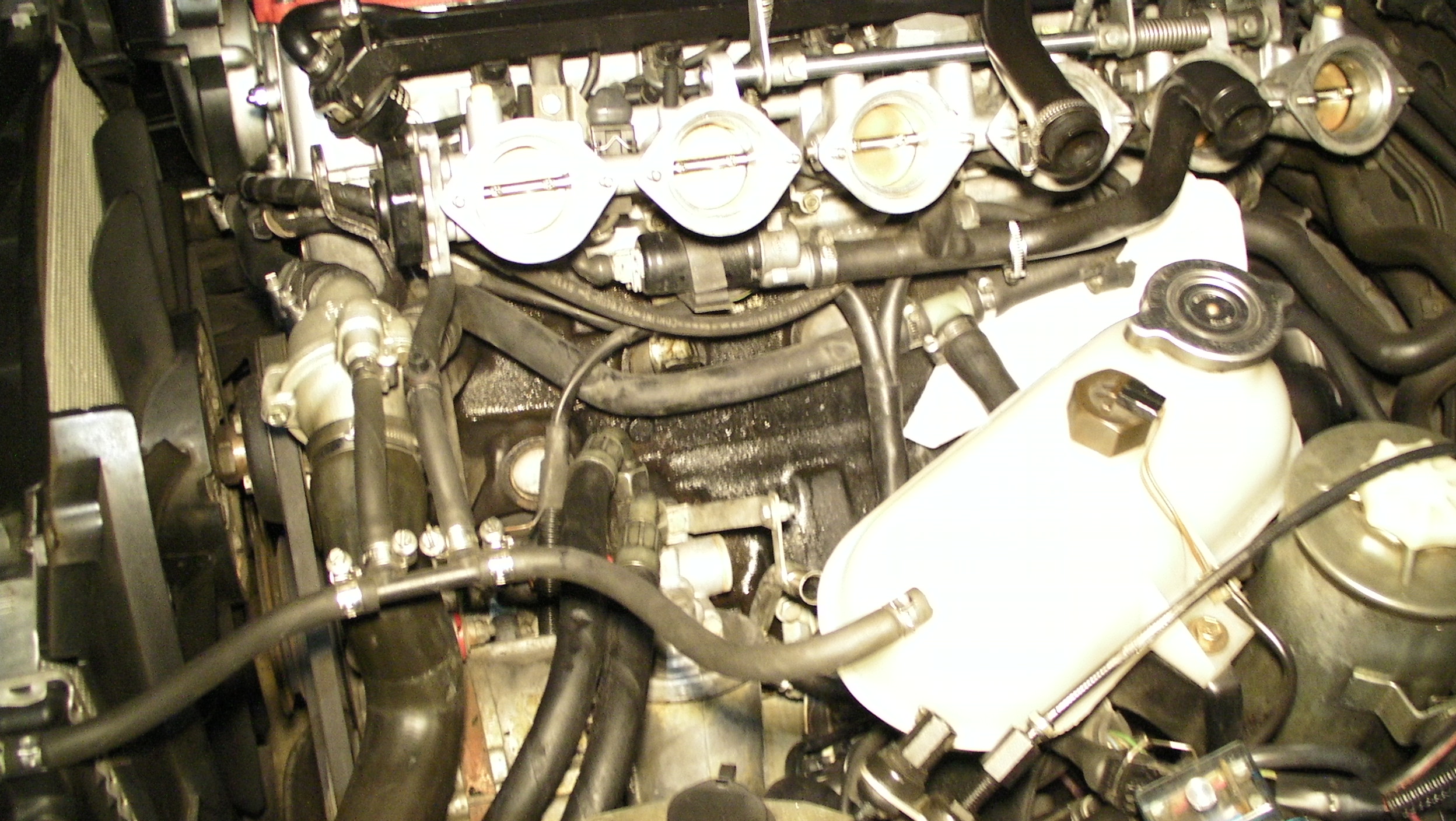 Mystery Oil Leak