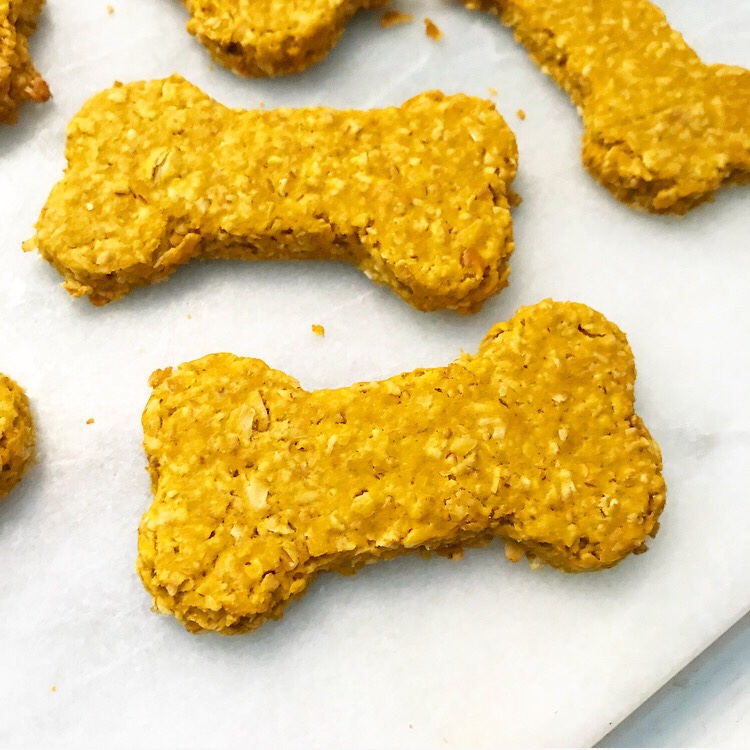 Pumpkin Oat Dog Treats e2 bakes brooklyn