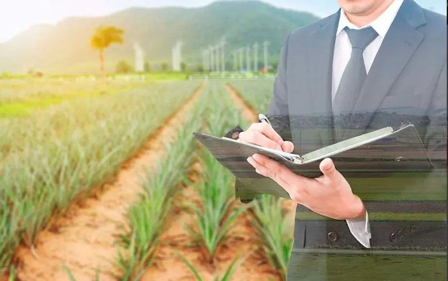 Farm Manager Job Description Salary, Duties & More