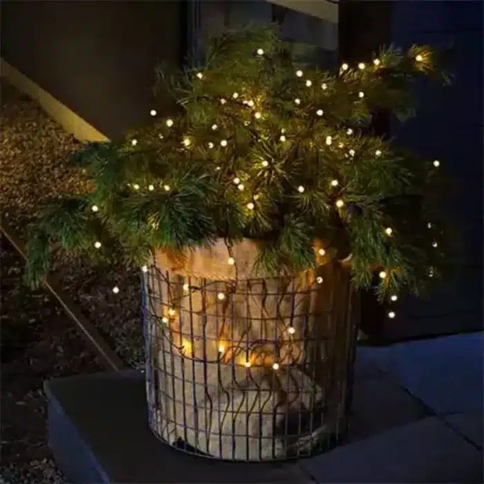 Cherry Bulb LED Battery Lights Fantasy Christmas Lights