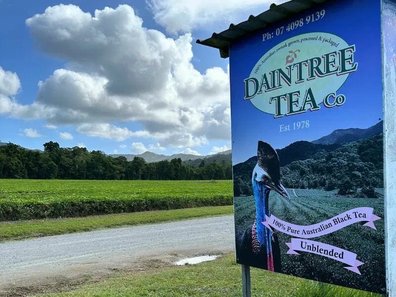 21 Best Things To Do In Cape Tribulation And The Daintree (Free, Low