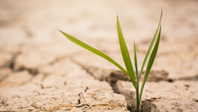 Parts of England could run short of water within 20 years, NAO warns