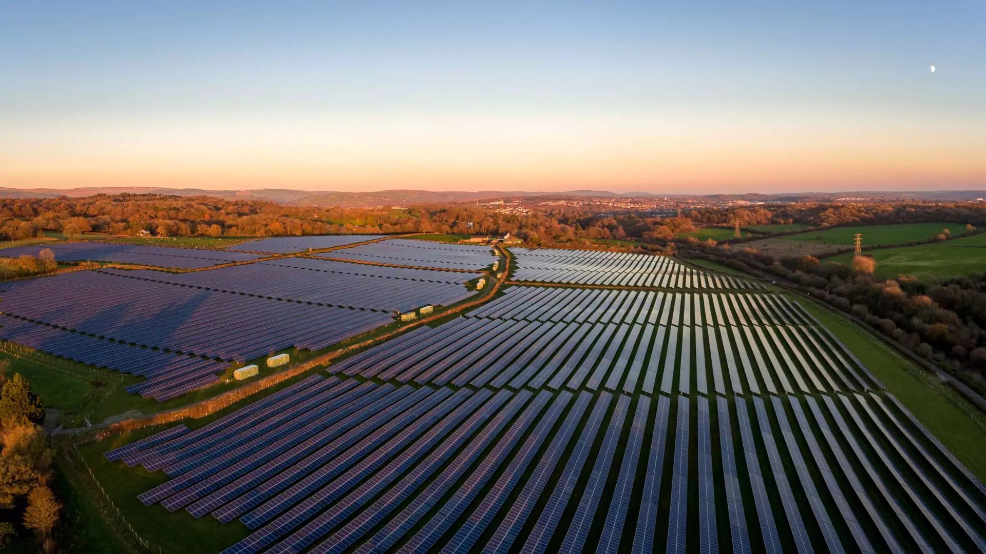 Sophiakrub leaked onlyfans videos she welcomed me into her