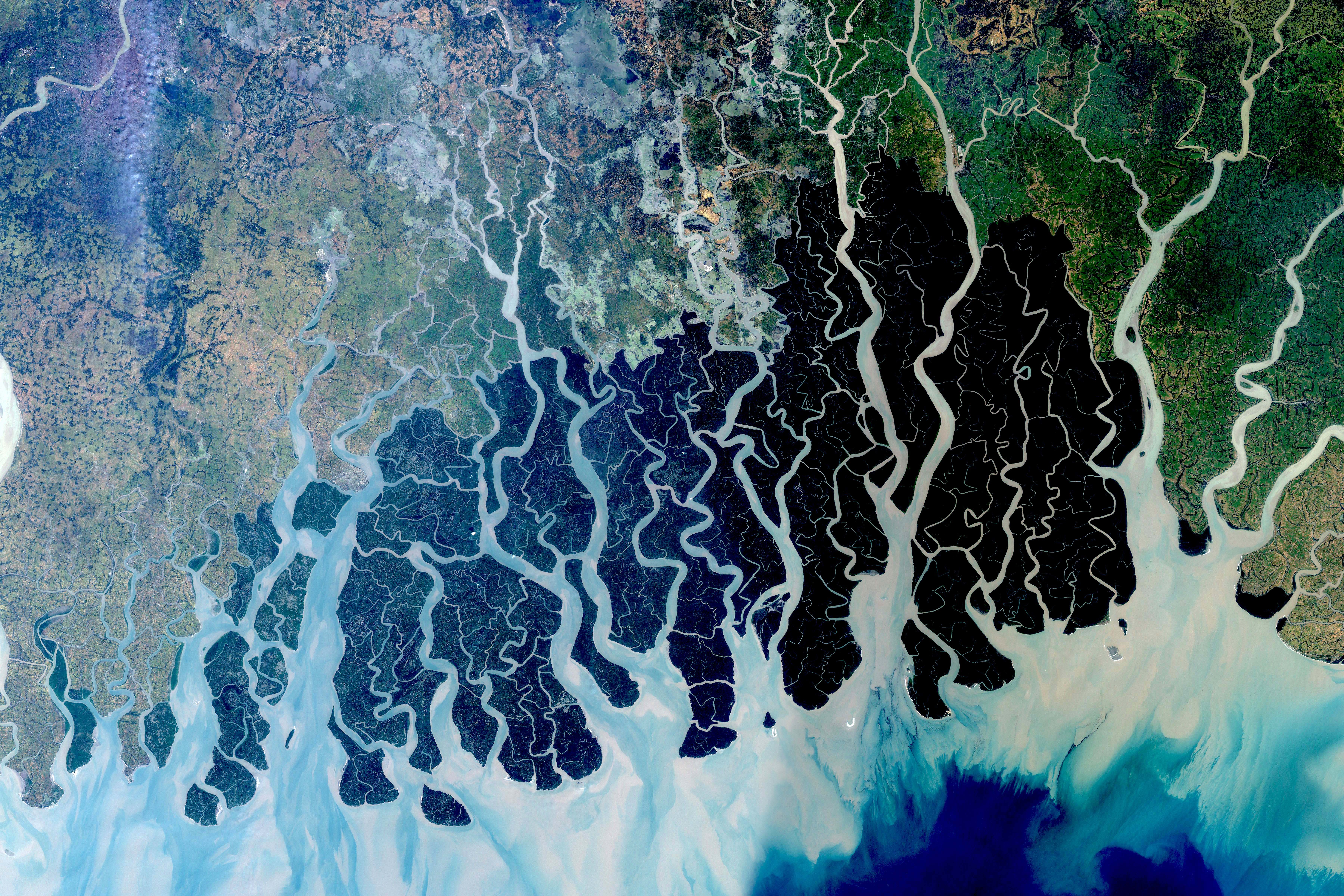 Eyes on Nature How Satellite Imagery Is Transforming Conservation
