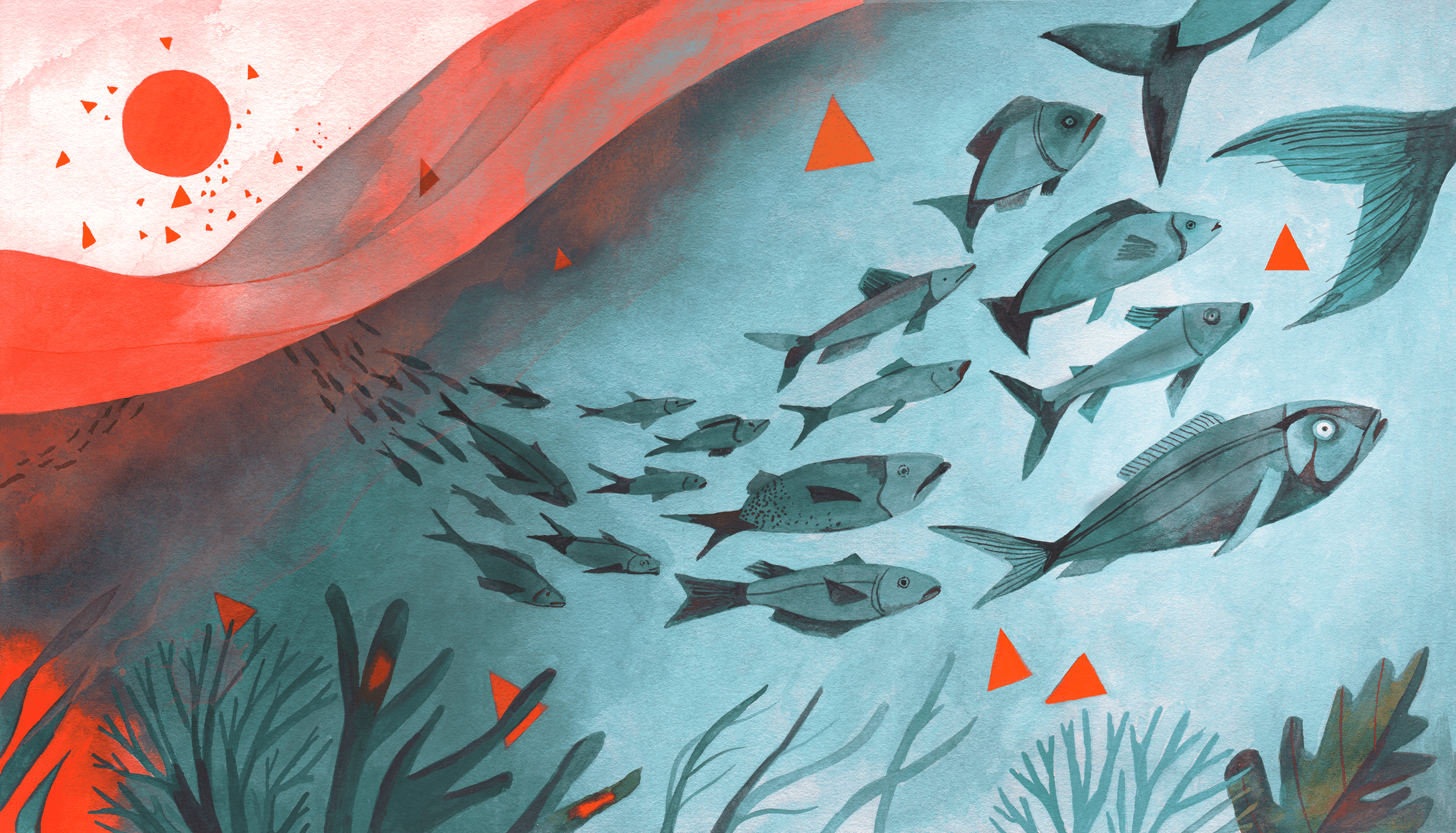 Feeling the Heat How Fish Are Migrating from Warming Waters Yale E360