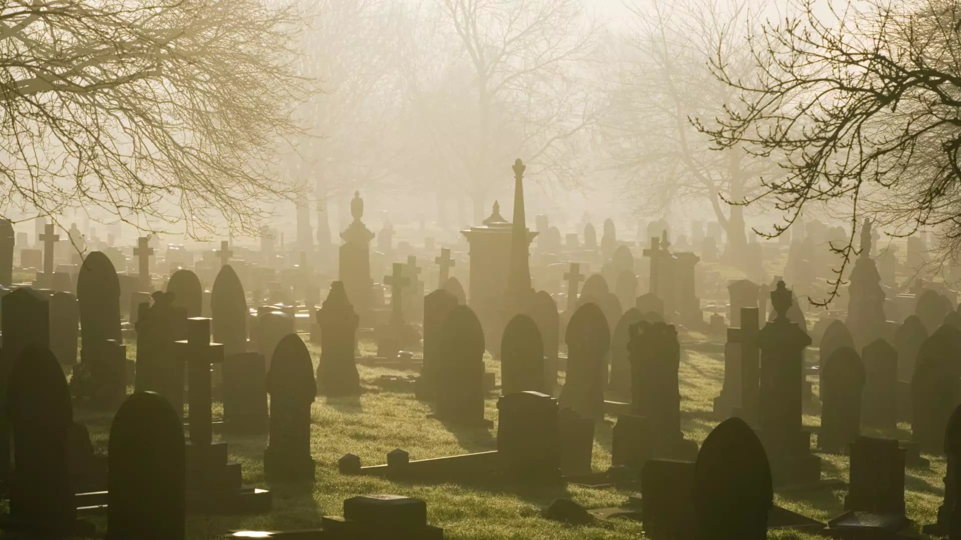 7 Shocking Truths About Why “Dead” Investors Crush Active Traders