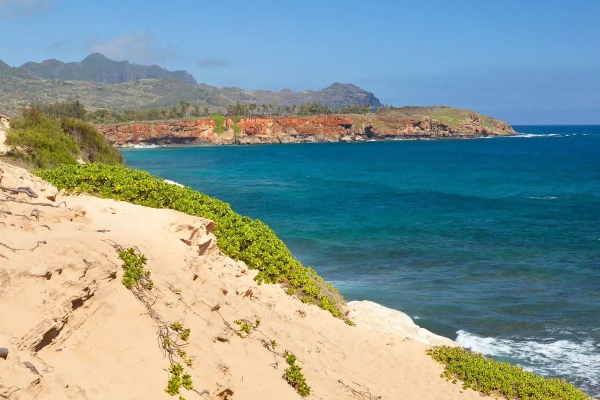 Which Hawaiian Island Has the Best Hiking in 2023?