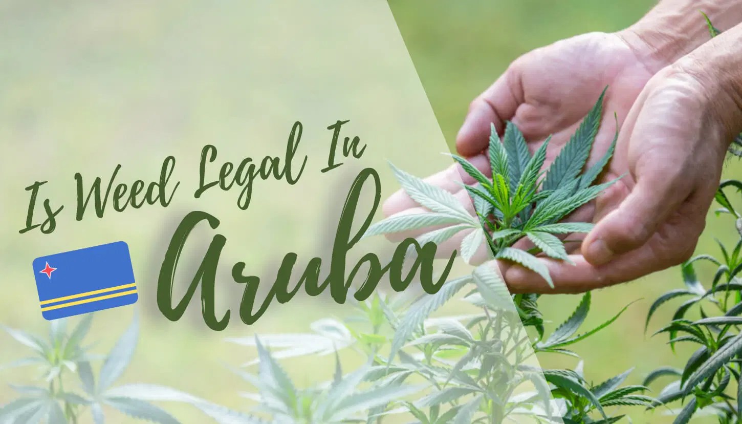 Is Weed Legal in Aruba? (2024 Laws)