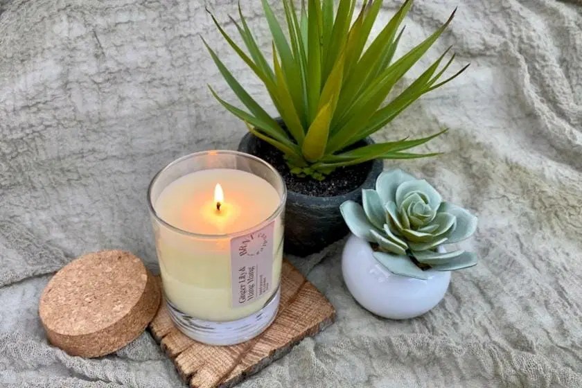 Can Candle Light Grow Plants? Read It Here!