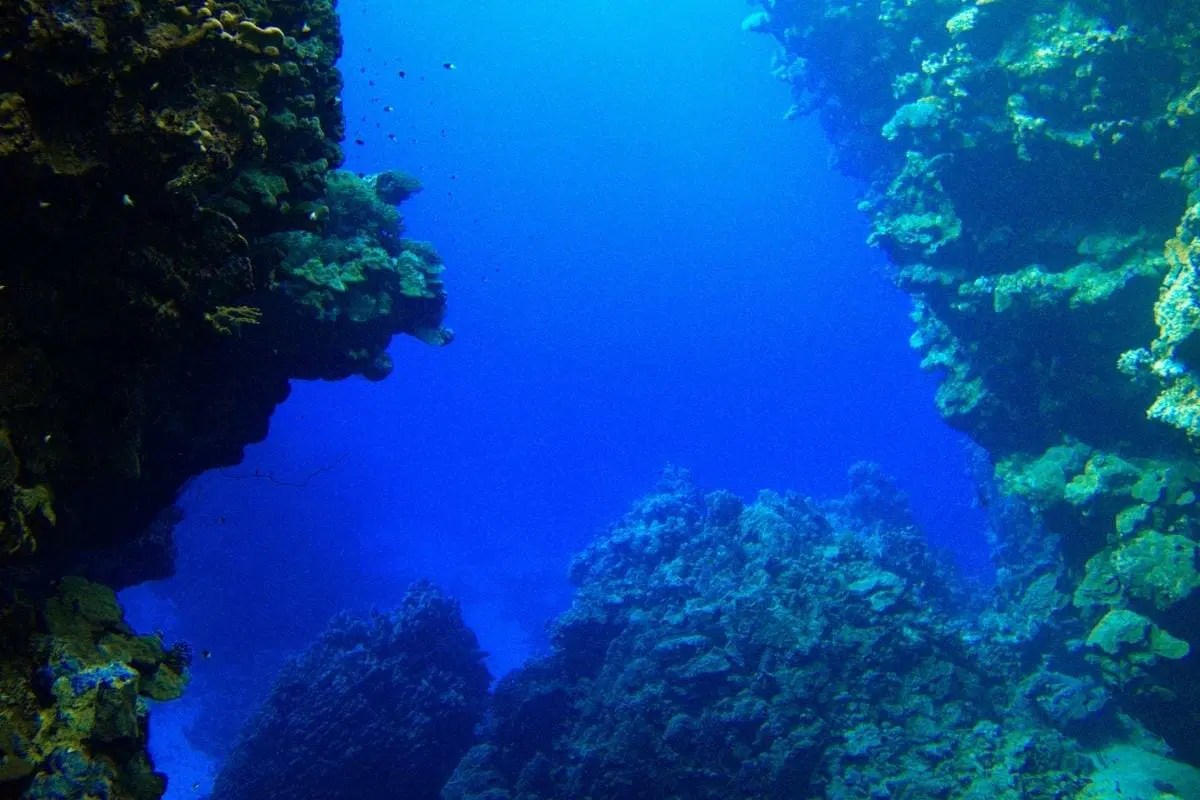 Best Scuba Diving In Kauai Villas At Poipu Kai Blog