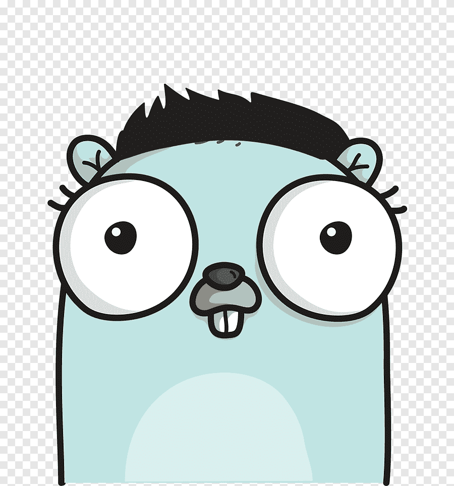 Gopher Computer Software Implementation Computer programming, computer