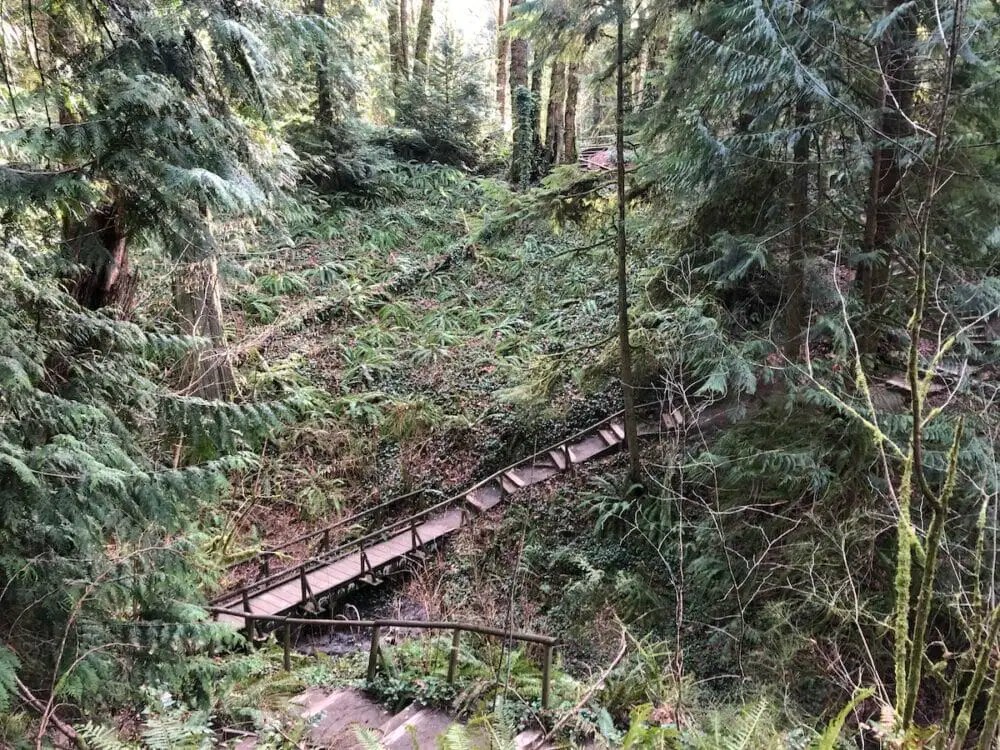 Ellis Cove Trail Scavenger Hunt Trail Map