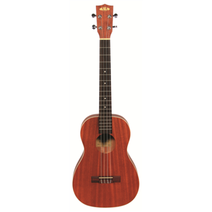Kala Concert Ukulele, Gloss KACG Music ConstructED